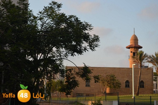 jamahery kids 829 (17).jpg